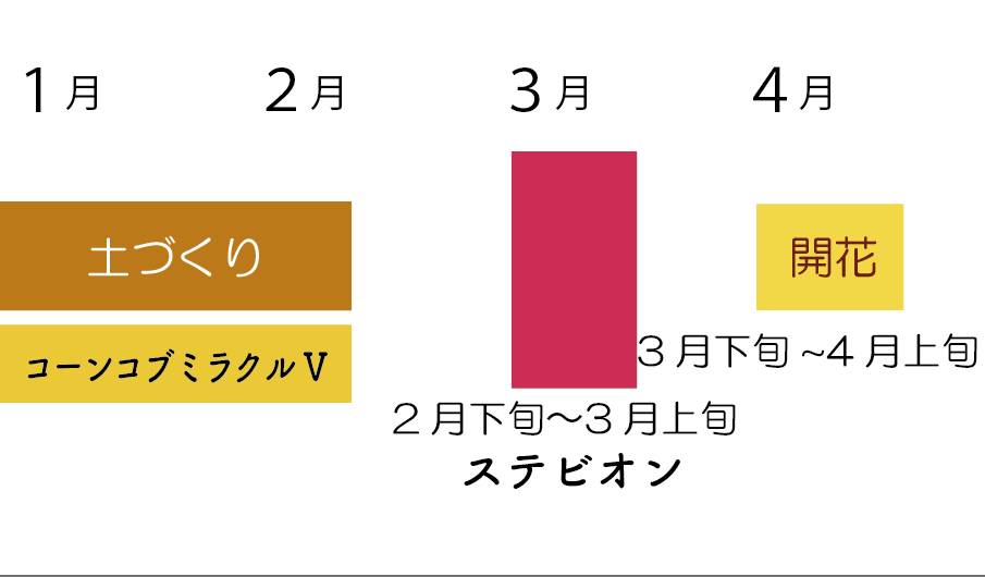 1月から4月
コーンコブミラクル、ステビオン活用時期