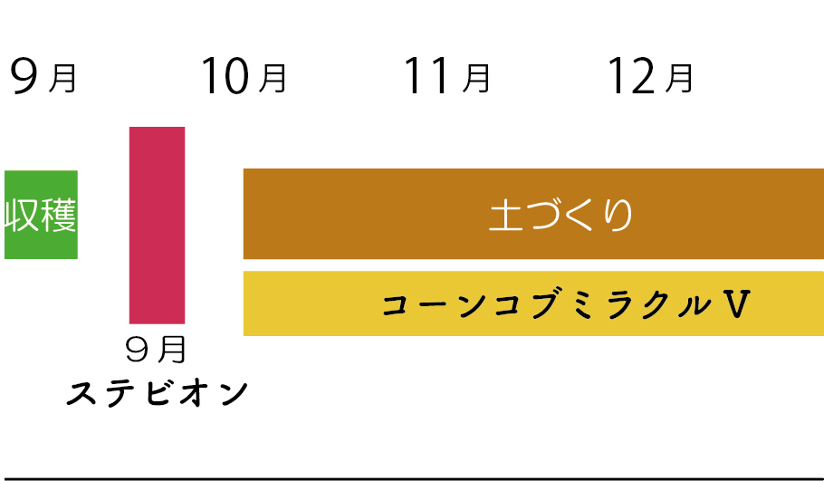 コーンコブミラクル、ステビオン活用時期