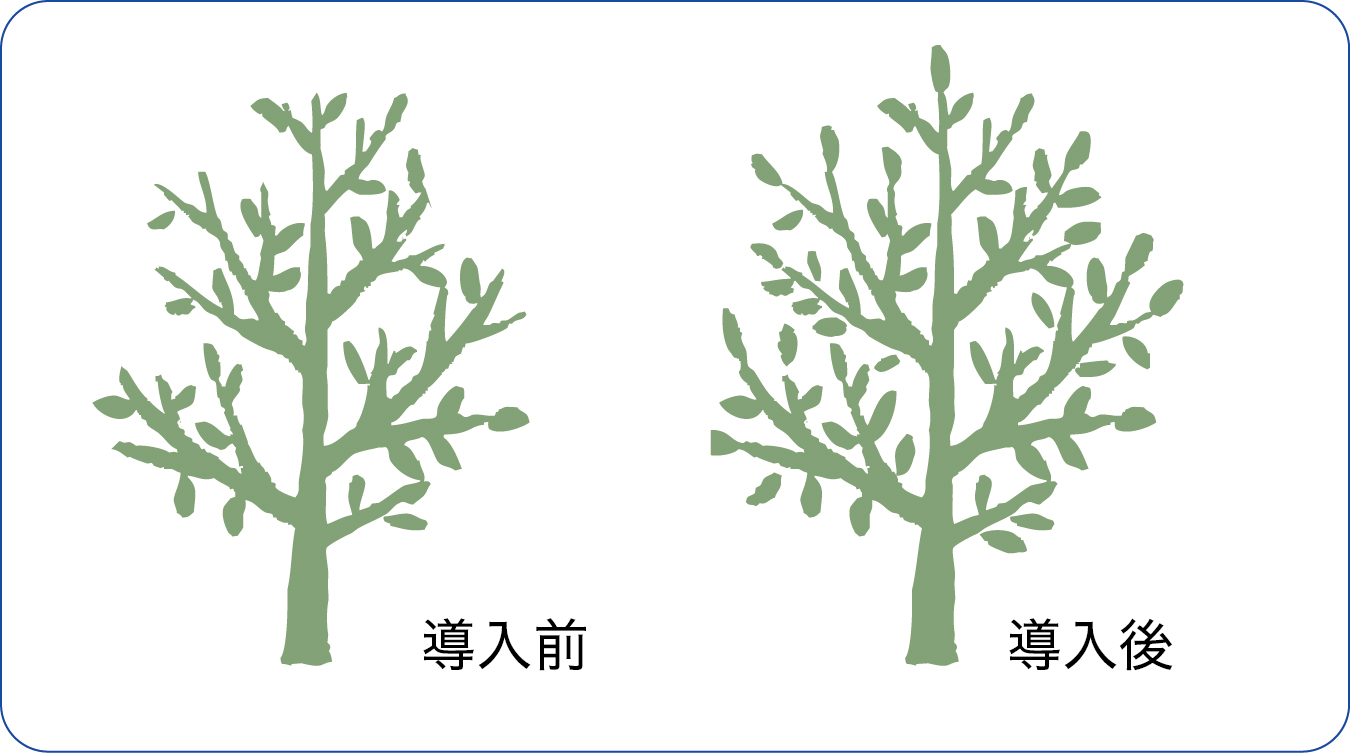 樹勢回復